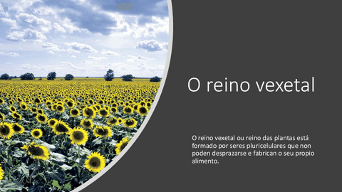 O-reino-vexetal.pdf