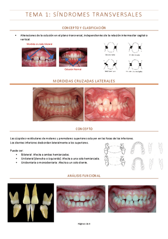 Tema-1-síndromes-transversales.pdf