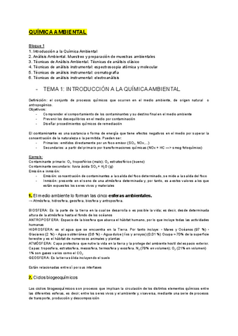 TEMARIO-RESUMIDO-B1-EXAMEN.pdf