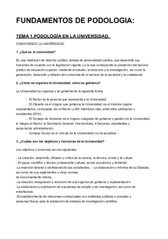 fundamento resumen total definitivo.pdf