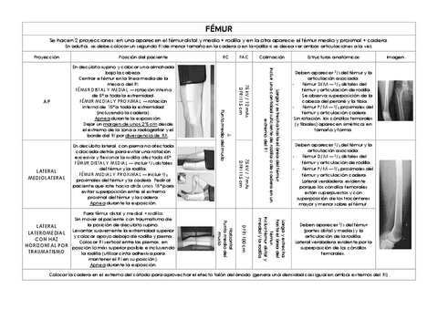Femur-y-cintura-pelviana.pdf