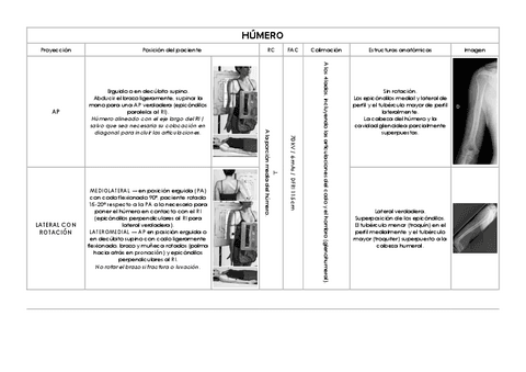 Humero-y-cintura-escapular.pdf