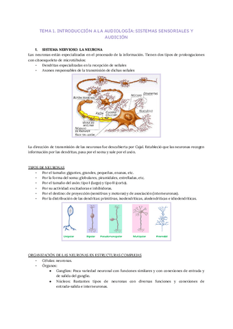 T1-Bases-neurobiologicas.pdf