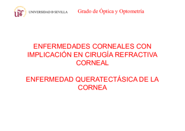 5 TEMA 5 Enfermedades corneales en CR.pdf