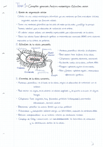 TEMA-1.pdf