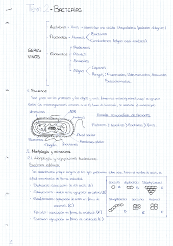 TEMA-2.pdf