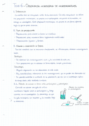 TEMA-6.pdf