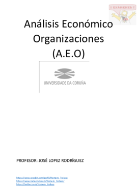 Apuntes Completos  AEO.pdf