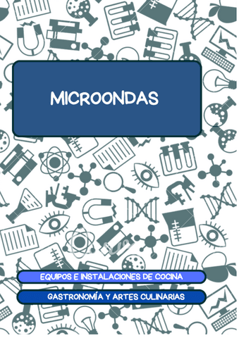 PRACTICA-MICROONDAS.pdf