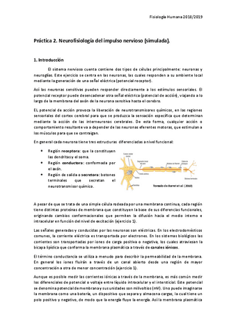 Practica-2.-Neurofisiologia-del-impulso-nervioso-simulada..pdf