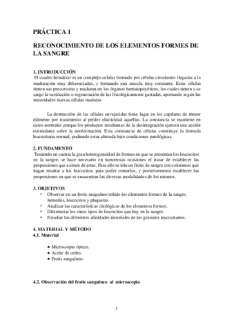 PRACTICA-1-ELEMENTOS-FORMES.pdf