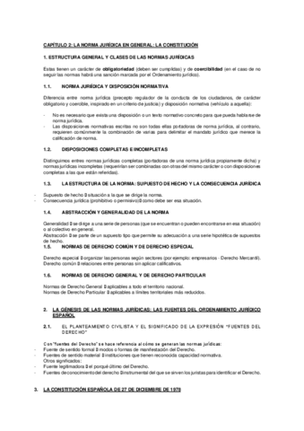 CAPITULO-2.pdf