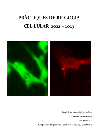 INFORME-DE-PRACTIQUES.pdf