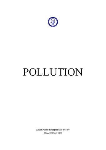 FINAL ESSAY POLLUTION TEOE.pdf