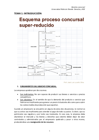 Temario concursal.pdf