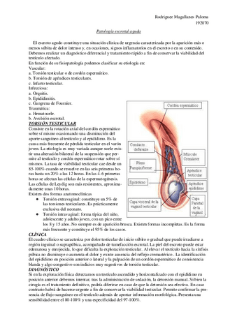 Patologia-escrotal-aguda.pdf