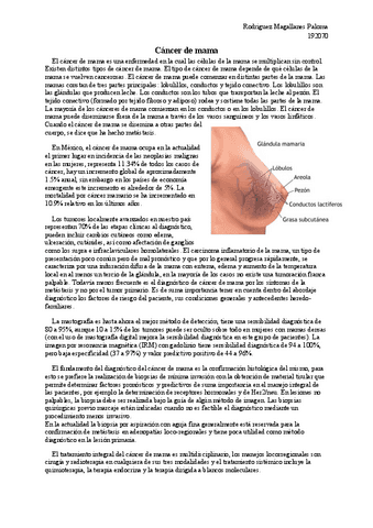 Cancer-de-mama.pdf