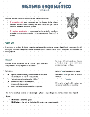 SISTEMA-ESQUELETICO.pdf