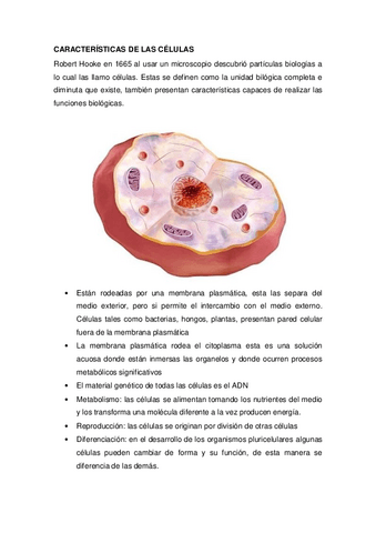 CARACTERISTICAS-DE-LAS-CELULAS081802.pdf