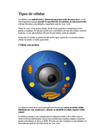 TIPOS-DE-CELULAS081631.pdf