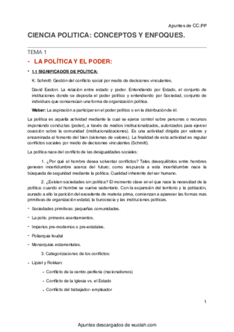 wuolah-free-Apuntes POLITICA.pdf