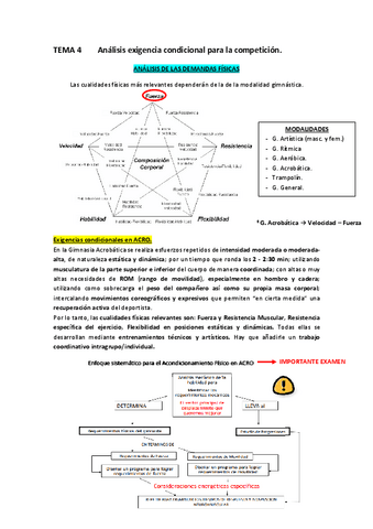T4-Analisis-exigencia-condicional-para-la-competicion.pdf