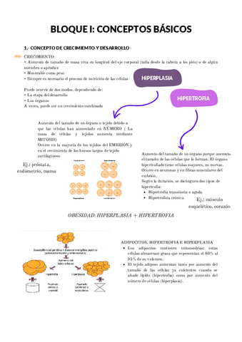BLOQUE-I-CONCEPTOS-BASICOS.pdf