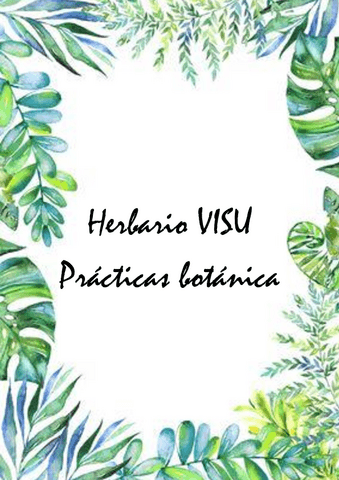 Herbario-VISU.pdf