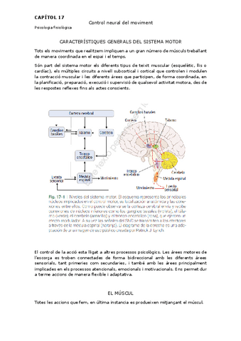 Capitol-17.-Caracteristiques-general-del-control-motor.pdf