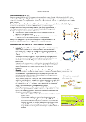 TODO LO QUE NECESITAS SABER SOBRE GENÉTICA MOLECULAR.pdf