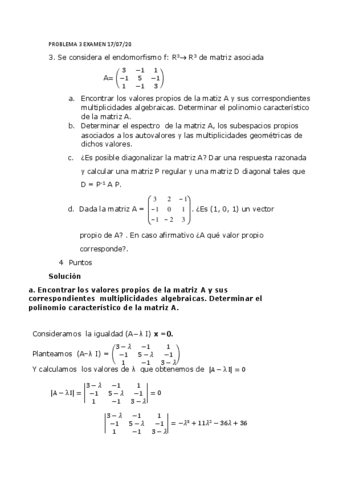 Problema-resuelto-tema-5-de-algebra.pdf