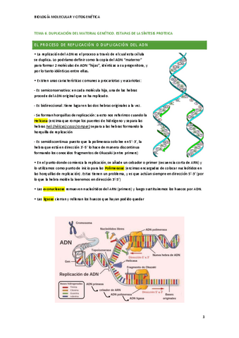Biologia-T6.pdf