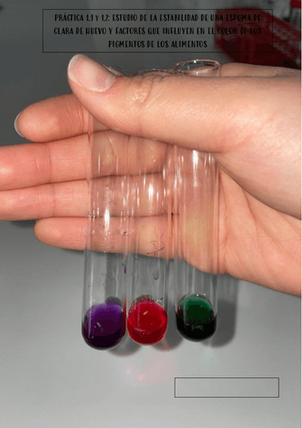 PRACTICA-1-ENTERA-TENCOLOGIA.pdf