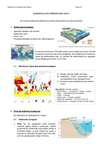 10.-Sedimentacio-i-diposits-pelagics.pdf