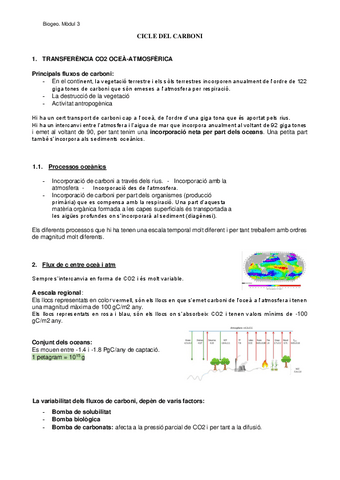 2.1.-Cicle-del-Carboni.pdf