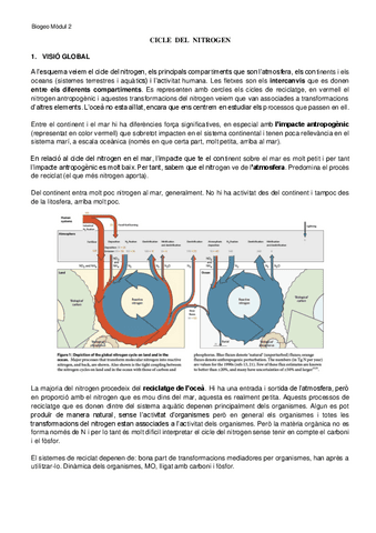 2.2.-Cicle-Nitrogen.pdf