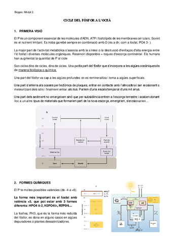 2.3.-Cicle-del-Fosfor.pdf