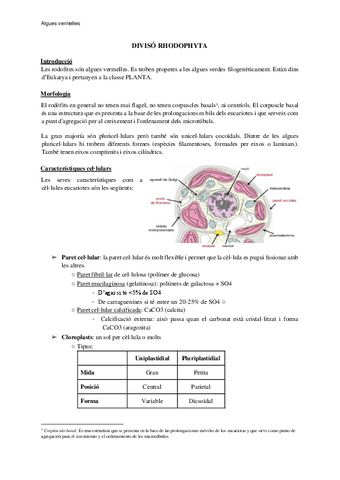 Tema-2-.7-Divisio-Rhodophyta.pdf