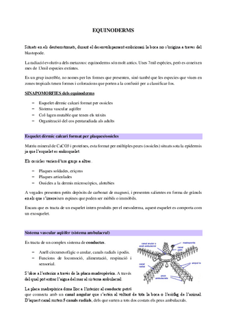 Tema-8.-Equinoderms.pdf