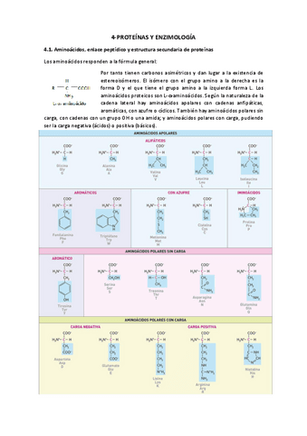 PROTEINAS.pdf