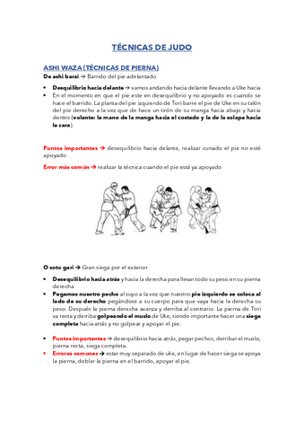 TECNICAS-JUDO.pdf