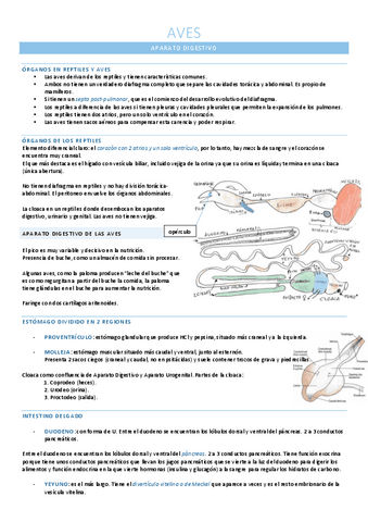 Digestivo y respiratorio AVES.pdf