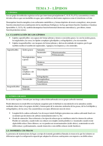 TEMA-3-LIPIDOS.pdf