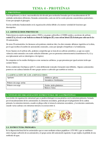 TEMA-4-PROTEINAS.pdf