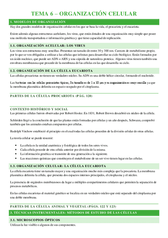 TEMA-6-ORGANIZACION-CELULAR.pdf