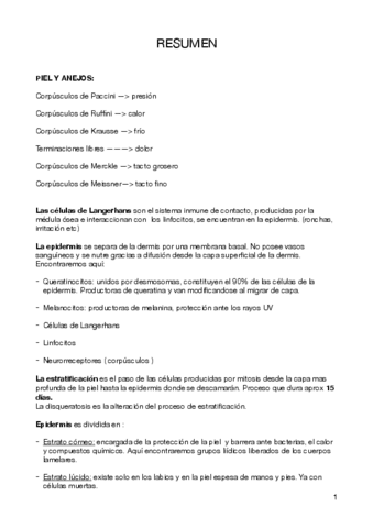 RESUMEN-II.pdf