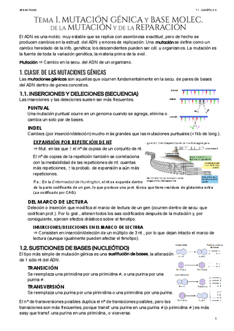 Tema-1-Mutacion-genica-y-base-molecular-con-ejers.pdf