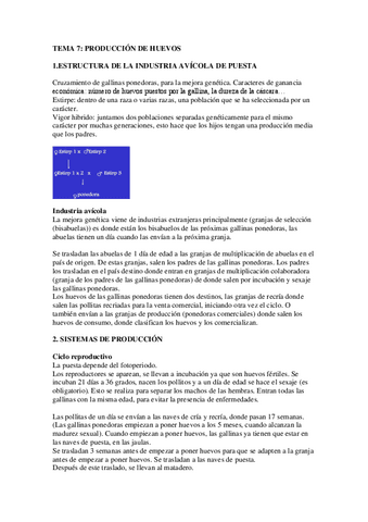 TEMA-7.pdf
