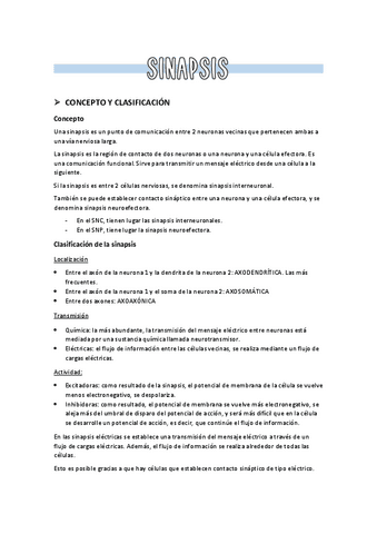 4.-Sinapsis-1.pdf