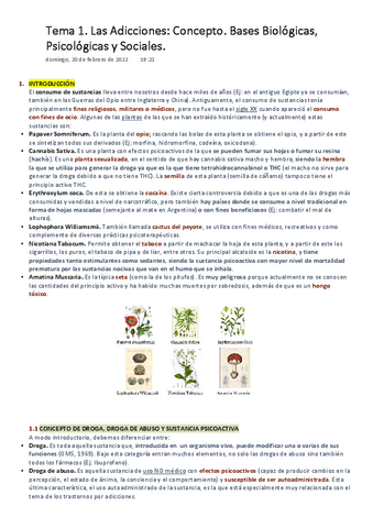 IPA-Tema-1.-Concepto-de-Adicciones.-Bases-Biologicas-Psicologicas-y-Sociales..pdf